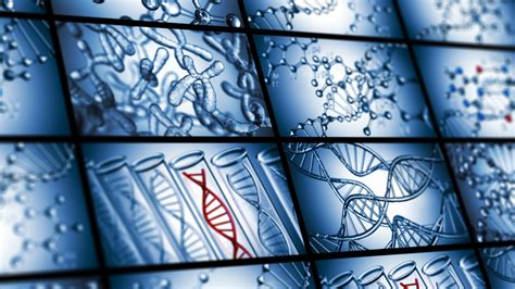 Projet De Loi Bioéthique Don Dorganes Dpn Img Tests Génétiques