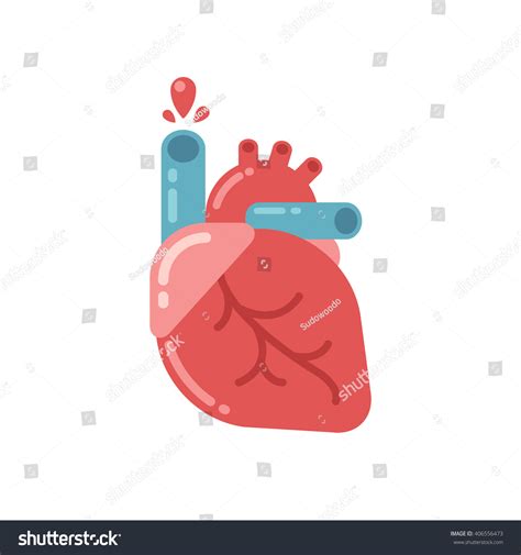 Stylized Human Heart Anatomy Icon Modern Stock