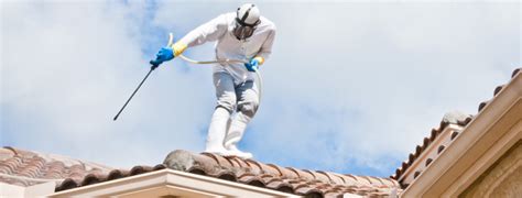 Key Reasons Why You Should Choose Fiddler Roof Cleaning