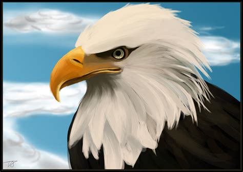 Eagle Realistic Drawing Prac By Chocogingerfingers On Deviantart