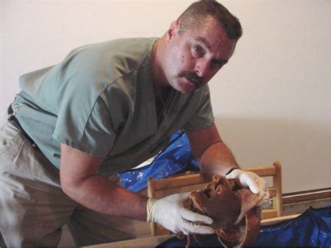 Post mortem is latin for after death. Guest post: Post-mortem ocular changes are not conclusive ...