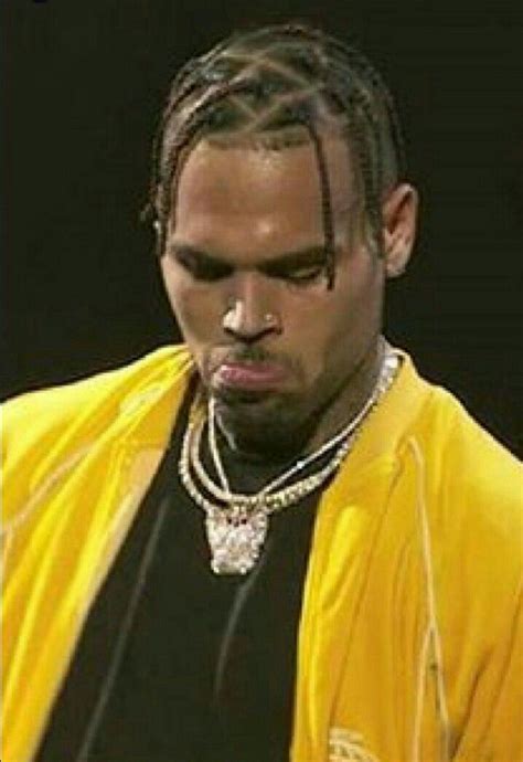 Chris Brown Braids Hairstyle Elrustegottreviso