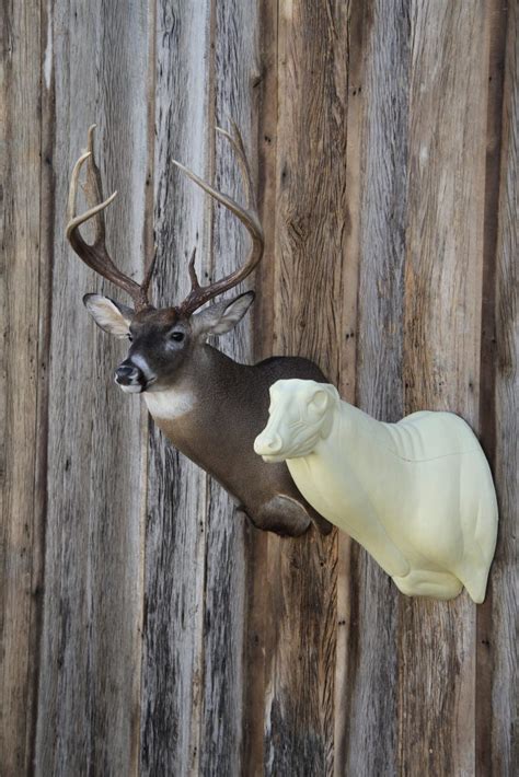 Mears Whitetail Forms