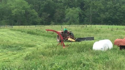 Mowing Hay With Ih 856 Youtube