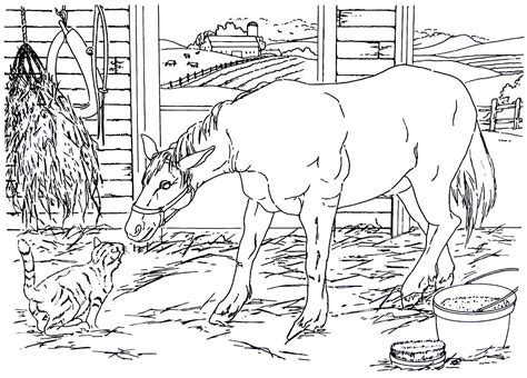 Barn Animal Coloring Pages Coloring Pages