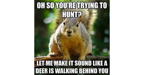 14 Deer Hunting Memes You Definitely Want To Share Pics