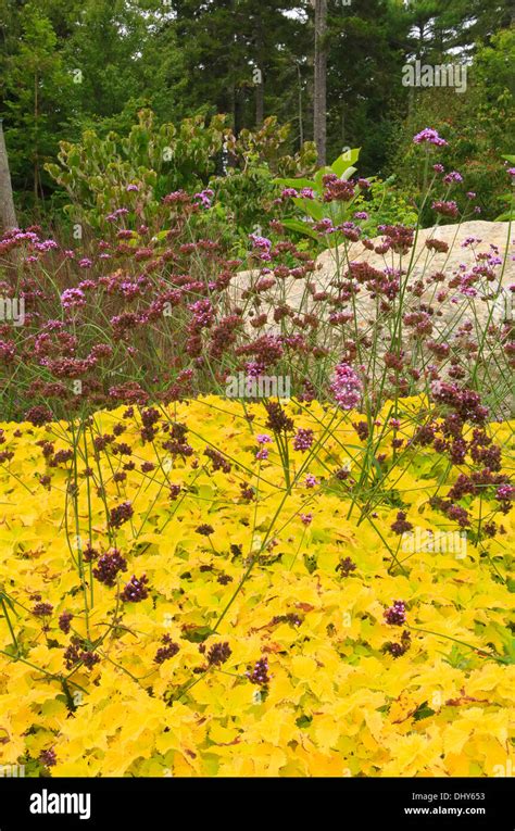 Perennial Gardens Hi Res Stock Photography And Images Alamy