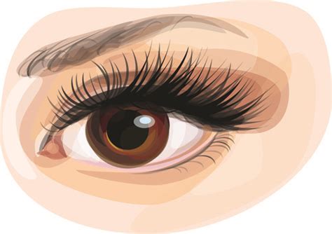 Eye Free Vector Download 682 Free Vector For Commercial Use Format