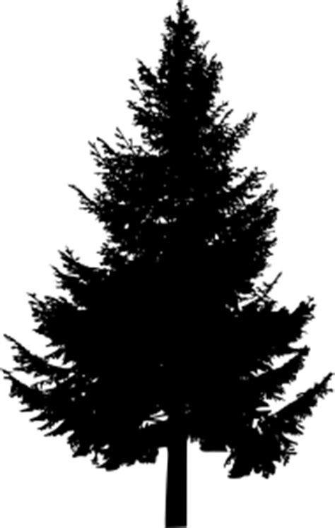 You can add color to the black line images and silhouettes using any graphics software. 10 Pine Tree Silhouette (PNG Transparent) | OnlyGFX.com