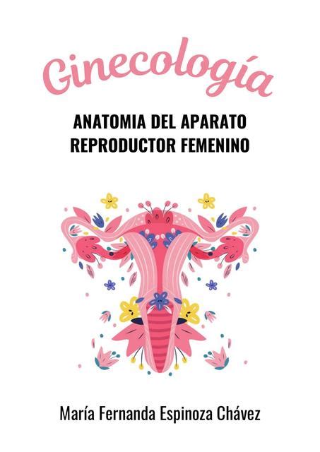 Anatomia Del Aparato Reproductor Femenino Mis Apuntes Medicos Udocz My Xxx Hot Girl