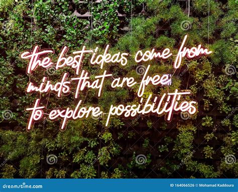 `the Best Ideas Come From Minds That Are Free To Explore Possibilities