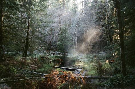 Bagby Hot Springs Oregon November 2018 35mm Fujifilm  Flickr