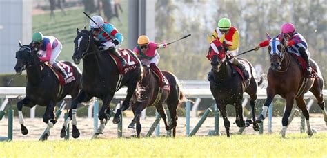 The site owner hides the web page description. 【日経新春杯2020の予想】今週の競馬 ｜ 3連単6点勝負!競馬で夢 ...