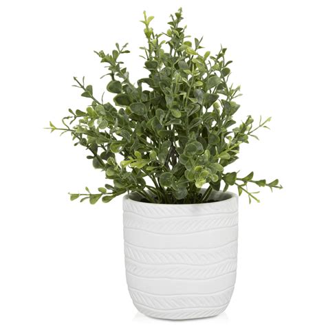 White Ceramic Potted Plant Bouclair