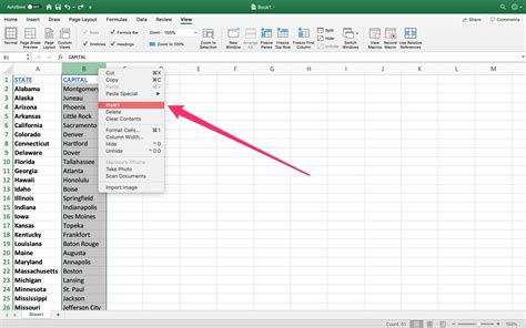 Insert A Column In Excel Hot Sex Picture