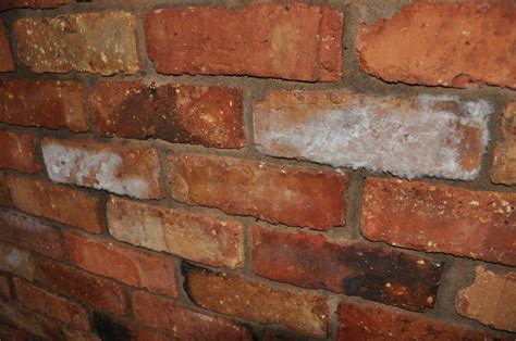 Is this efflorescence on internal brick wall??? | DIYnot Forums