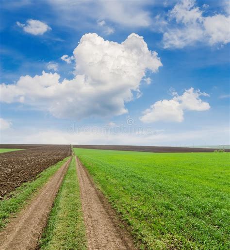 Road In Spring Fields And Blue Sky With Clouds Stock Image Image Of