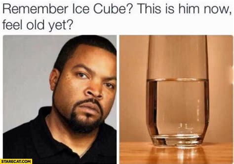 Remember Ice Cube? This is him now, feel old yet? melted | StareCat.com