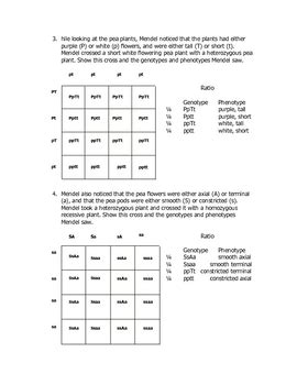 Monohybrid, dihybrid, and trihybrid crosses shading in each punnett square represents matching phenotypes, assuming complete dominance and independant assortment of genes, Dihybrid Punnett Square Quiz by Goby's Lessons | TpT