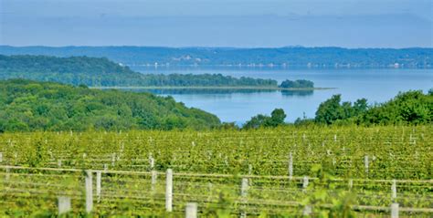 Traverse City To Become City Of Riesling July 26 28