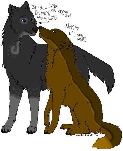 Pic Of My Two Wolf Couples By Xnakitaxshadowx On Deviantart