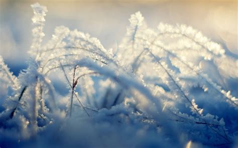 Frost Wallpapers Top Free Frost Backgrounds Wallpaperaccess