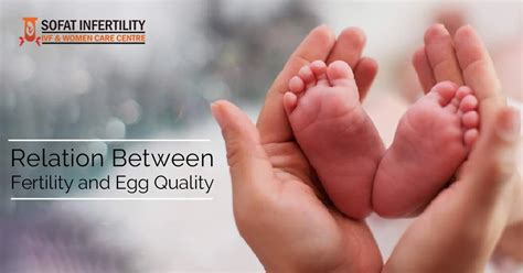 Ivf What Is The Actual Relation Between Fertility And Egg Quality