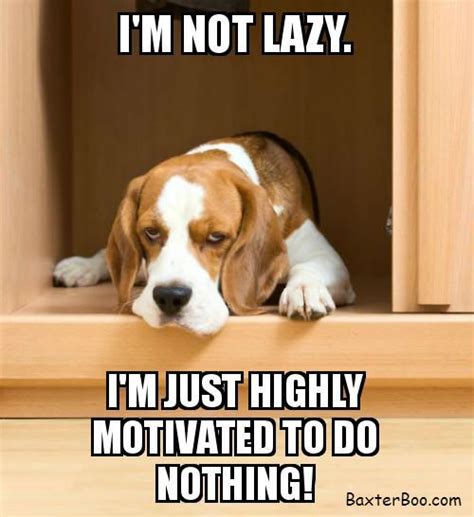 28 Best Beagle Memes Images On Pinterest Beagle Beagle Puppy And Beagles