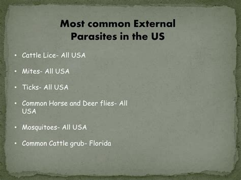 Ppt External Parasites Of Cattle Powerpoint Presentation Free