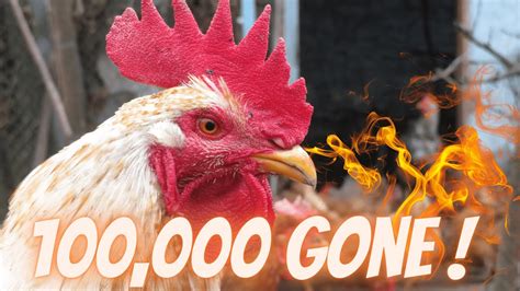 100000 Chickens Perish In Flames 🐔 Youtube