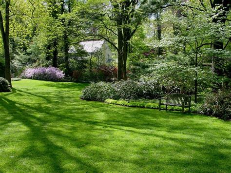 5 creative vegetable garden ideas. McCrillis Gardens
