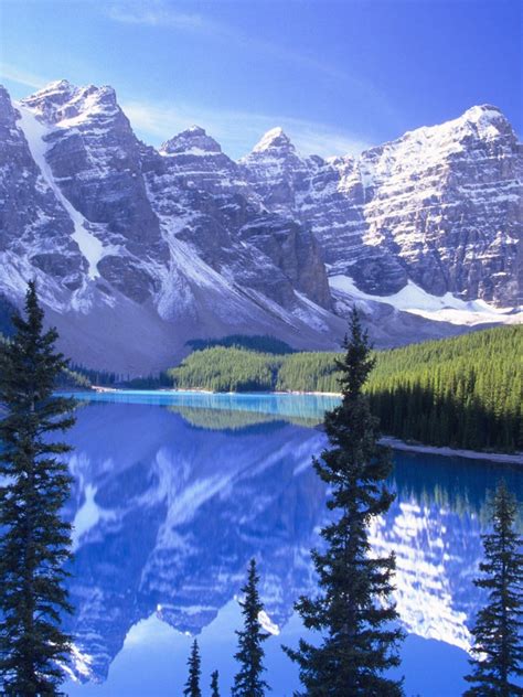 Free Download Moraine Lake Canada Wallpaper Wallpaperwallpapersfree