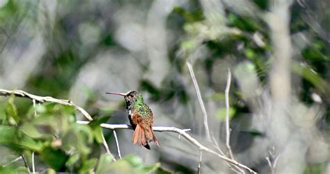 Check spelling or type a new query. Cuando vayas a Xixim no dejes de...