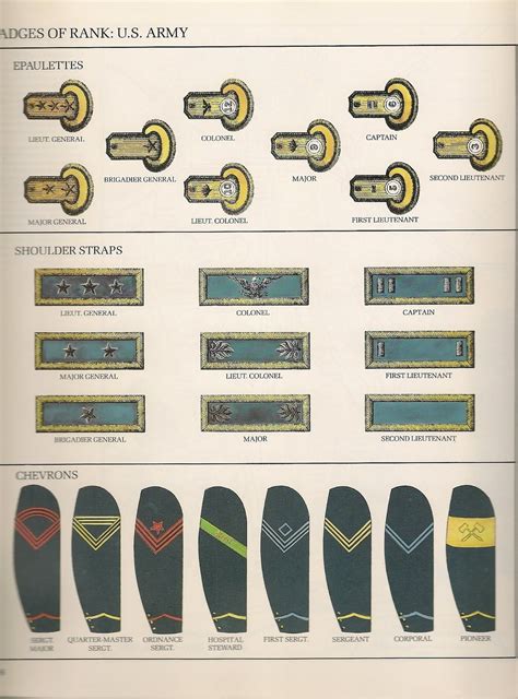 √ Us Firefighter Ranks Navy Visual