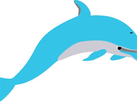 Spinner Dolphin Clipart Lumba Lumba Png Download Full Size Clipart