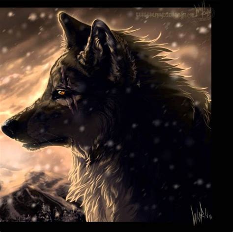 Cool Wolf Profile Pictures C580be382a1e9063001fe66468301628 Supportive Guru