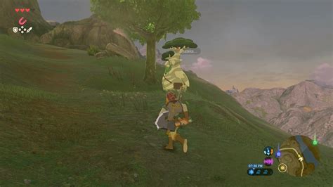 Hestu The Legend Of Zelda Breath Of The Wild Guide Ign