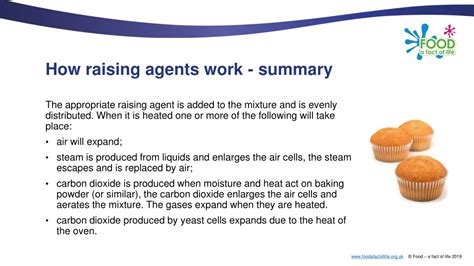 Ppt Raising Agents Powerpoint Presentation Free Download Id9271310