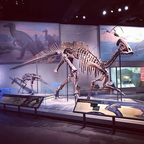 Twitter Dinosaur Fossils Dinosaur Museum Jurassic Park