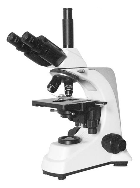 Upright Compound Microscopes Amscope Compound Microscope