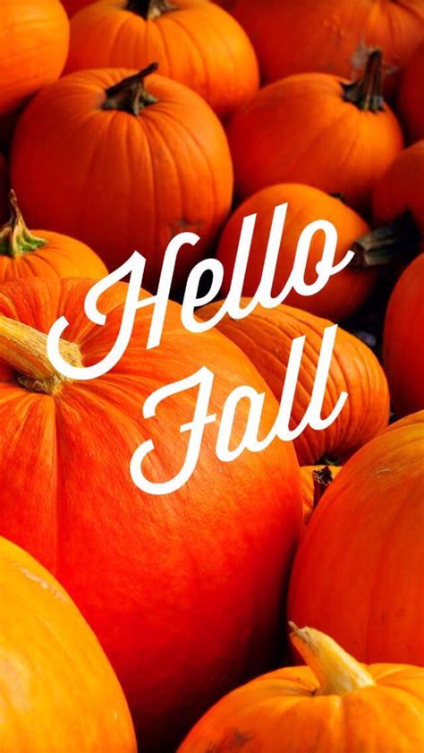 Hello Fall Pumpkin Iphone Wallpaper Fall Fall Wallpaper Pretty