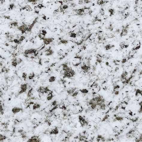 Grassfrozen0036 Free Background Texture Snow Ground