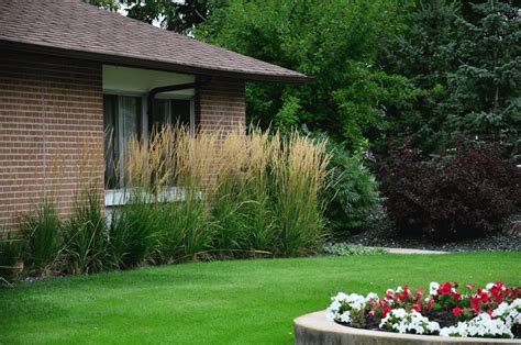 Use them in commercial designs under lifetime, perpetual & worldwide rights. Prairie Grasses