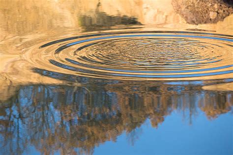 Ripples Pond Stock Photos Pictures And Royalty Free Images Istock
