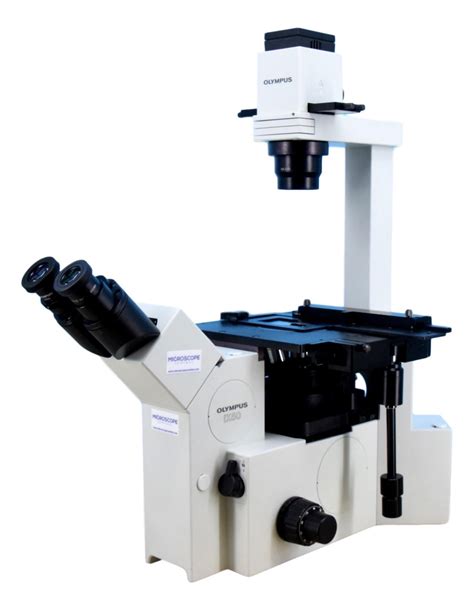 Olympus Ix50 Inverted Phase Contrast Microscope Microscope Central