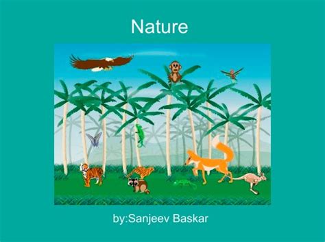 Nature Free Stories Online Create Books For Kids Storyjumper