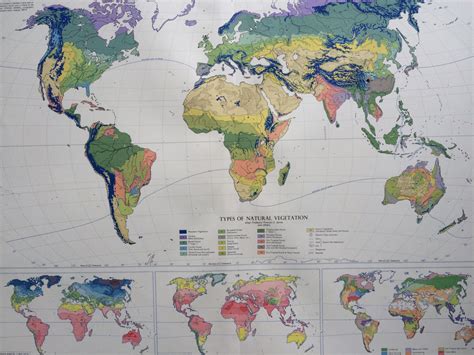 1958 Extra Large Original Antique World Map Depicting World Vegetation