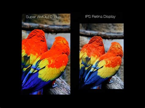 Super Retina Display Vs Super Amoled Which One Is Better