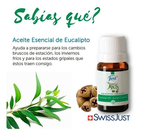 Aceite Esencial De Eucalipto 10ml Just Producto Original Mercado Libre