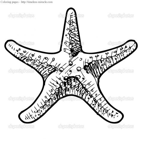 Sea star coloring page - timeless-miracle.com